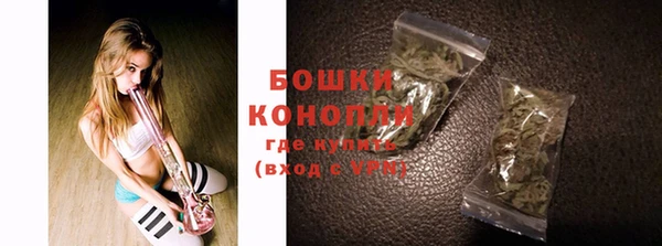 гидра Белоозёрский