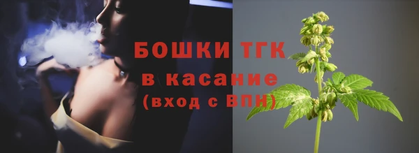 гидра Белоозёрский